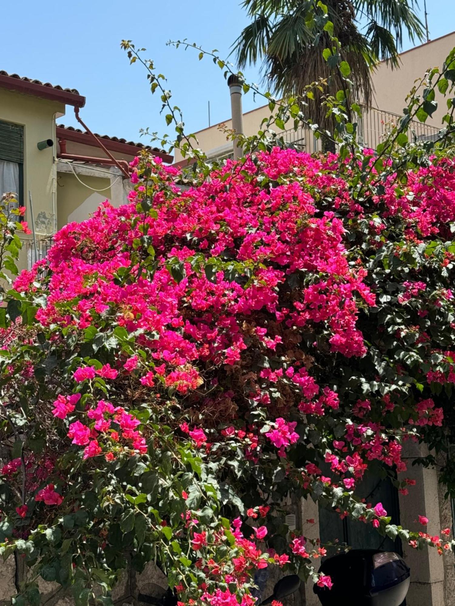 Villa Carla, A Charming In The Center Of *
